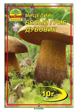 Мицелий "Белый гриб Дубовик" 10 г