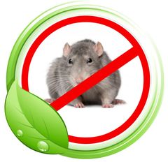 Средства от крыс и мышей