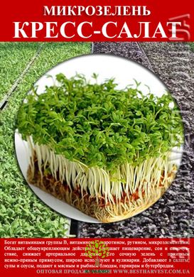 Семена Кресс-салата на микрозелень 0.5 кг